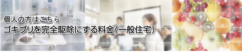 個人の方はこちら ゴキブリを完全駆除にする料金（一般住宅）